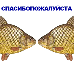 Карась sticker 9
