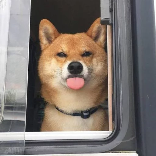 Keidel 2 porque no hay espacio sticker 2