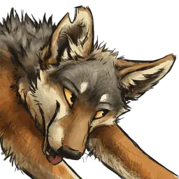 ketcoyotes sticker 3