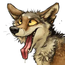 ketcoyotes sticker 7