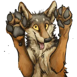 ketcoyotes sticker 9