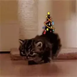 Котики Telegram sticker pack