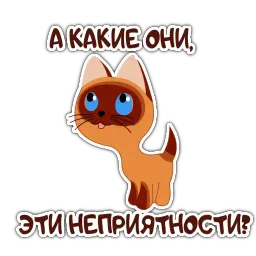 kittennamedwoof sticker 2