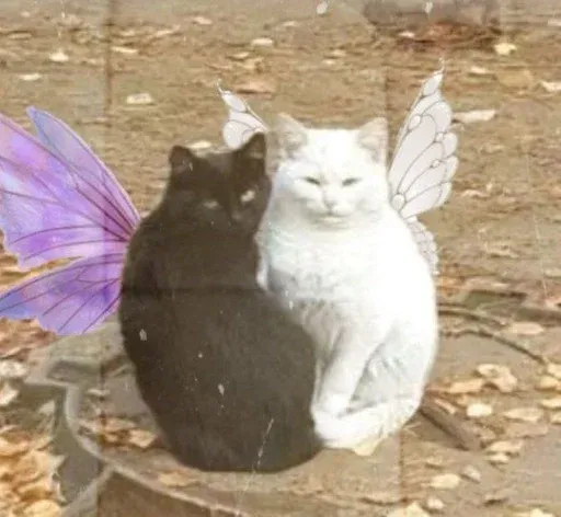 kittykittykitty sticker 101