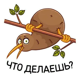 Киви Стиви sticker 6