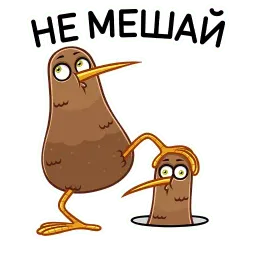 Киви Стиви sticker 8