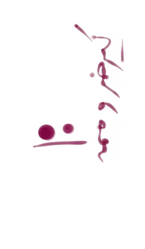 @khlifaw 😹🌹 sticker 12