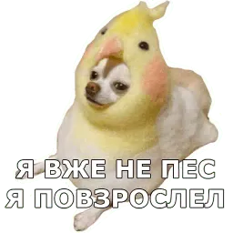 Пёсели sticker 11