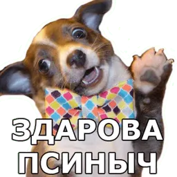 Пёсели sticker 3