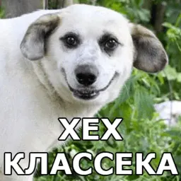 Пёсели sticker 4