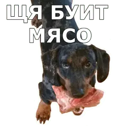Пёсели sticker 5