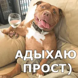 Пёсели sticker 7