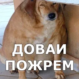Пёсели sticker 8