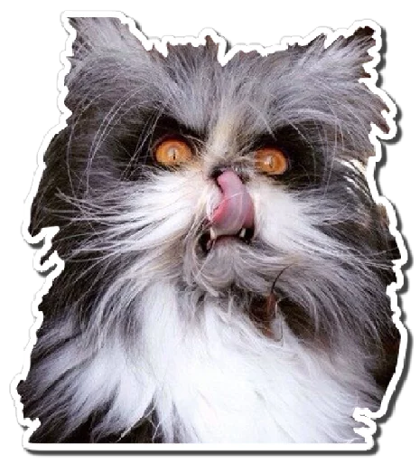 kokoshki sticker 5
