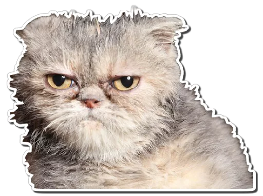 kokoshki sticker 6