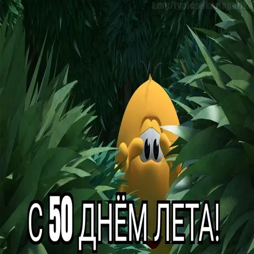 kolobangadni sticker 45