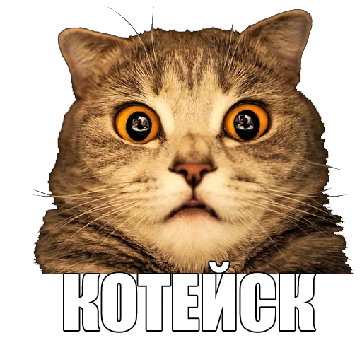 Копейская рапсодия sticker 8