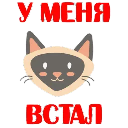 КошкоСтикеры by @stickerus Telegram sticker pack