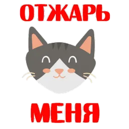 КошкоСтикеры by @stickerus sticker 11