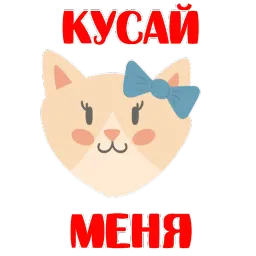 КошкоСтикеры by @stickerus sticker 12