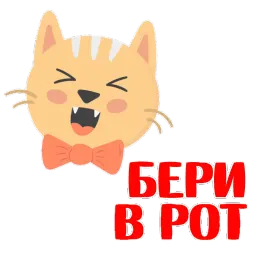 КошкоСтикеры by @stickerus sticker 3