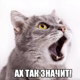 Котеечные дела sticker 12