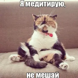 Котеечные дела sticker 3