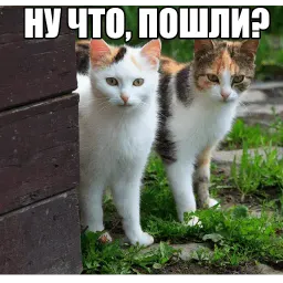 Котеечные дела sticker 6