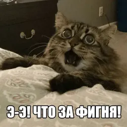 Котеечные дела sticker 8