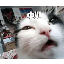 Котеечные дела sticker 9