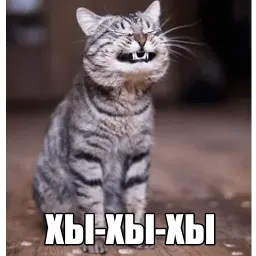 Котеечные дела sticker 10