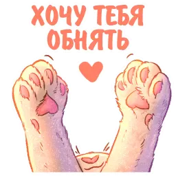 Котики и фразочки котики и фразочки ♡ sticker 11