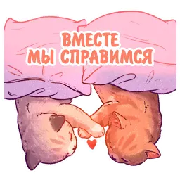 Котики и фразочки котики и фразочки ♡ sticker 12