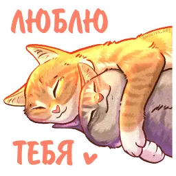 Котики и фразочки котики и фразочки ♡ sticker 5