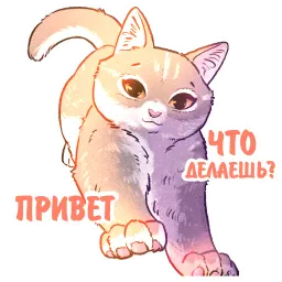 Котики и фразочки котики и фразочки ♡ sticker 8