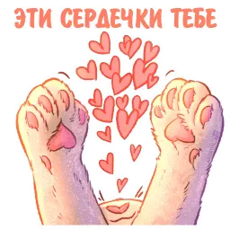 Котики и фразочки котики и фразочки ♡ sticker 9