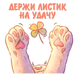 Котики и фразочки котики и фразочки ♡ sticker 10