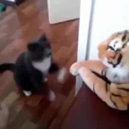 Котеки пиздяца sticker 12