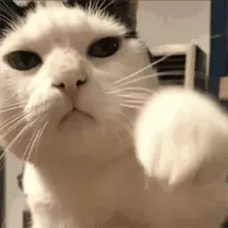 Котеки пиздяца sticker 3
