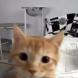 Котеки пиздяца sticker 10