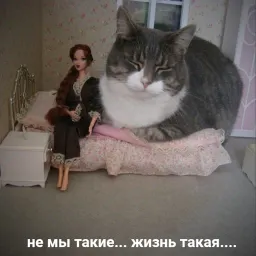 Котики бизнес sticker 12