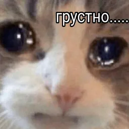 Котики бизнес sticker 3