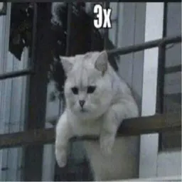 Котики бизнес sticker 4