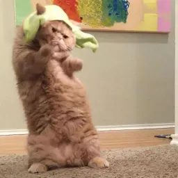Котики бизнес sticker 7