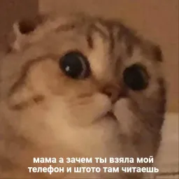 Котики бизнес sticker 9
