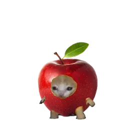 Котовощи sticker 2
