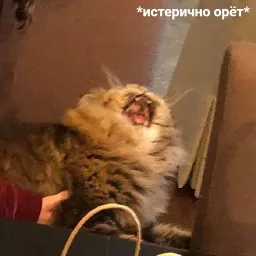 Жизень sticker 11