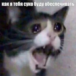 Жизень sticker 12
