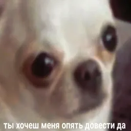 Жизень sticker 6