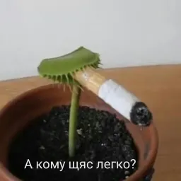 Жизень sticker 7